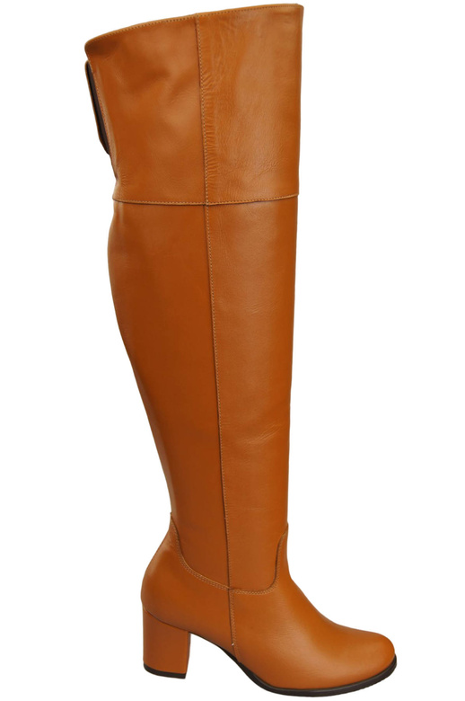Footwear Women's High Boots above the Knee genuine leather 190 ElitaBut