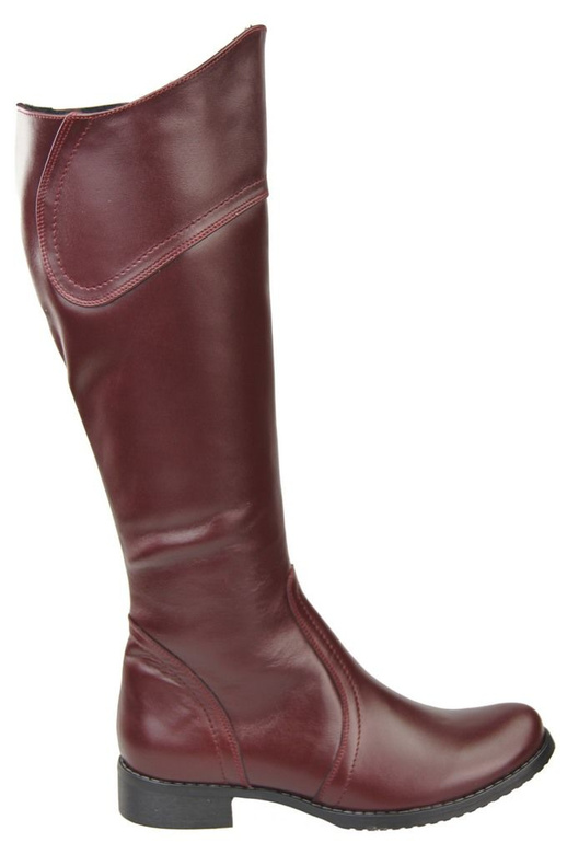 Shoes Women's boots Boots Natural leather 597 ElitaBut