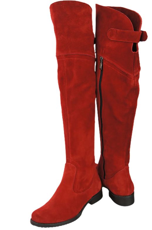 Shoes Boots Women Boots Over-the-knee boots Over-the-knee natural leather Velor 154 ElitaBut