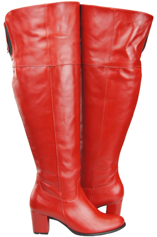 Footwear Women's High Boots above the Knee genuine leather 190 ElitaBut