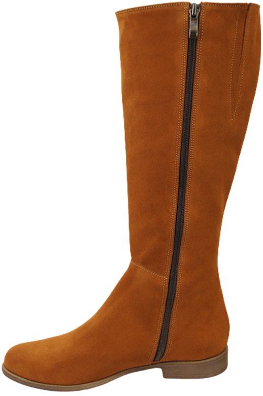 Shoes Boots Women's natural leather Velor 153 ElitaBut