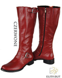 Shoes Women's boots Boots Natural leather 747 ElitaBut
